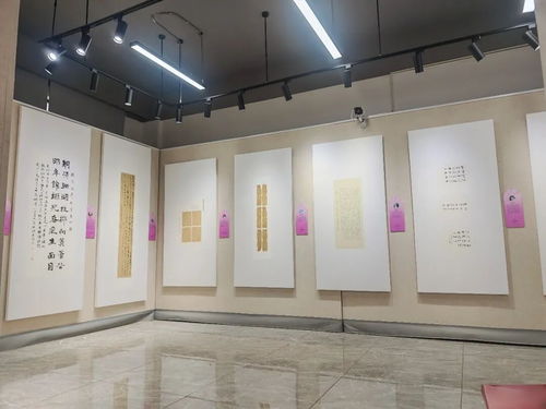 茉莉花開筆陣芳華 江蘇省女書家精品邀請(qǐng)展走進(jìn)涇東村，文藝志愿行點(diǎn)亮鄉(xiāng)間